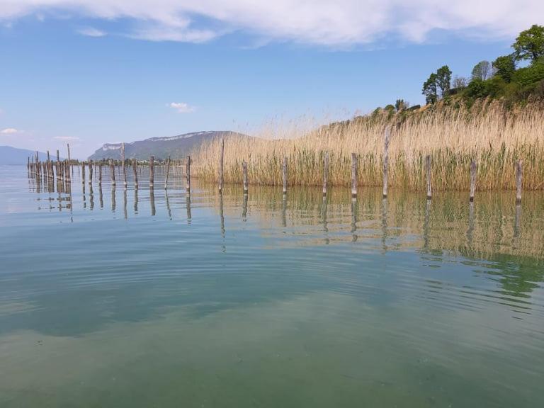 Le Lamartine, Vue Magnifique Face Au Lac Du Bourget Екс ле Бен Екстериор снимка