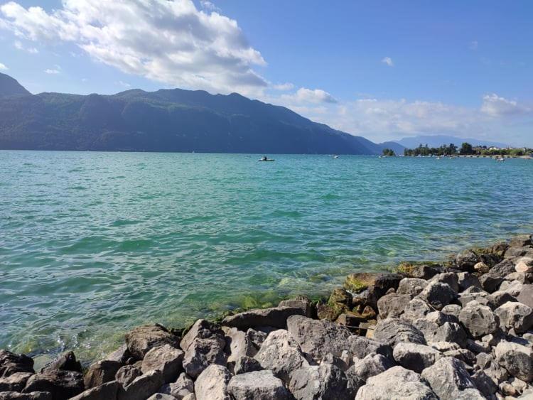 Le Lamartine, Vue Magnifique Face Au Lac Du Bourget Екс ле Бен Екстериор снимка